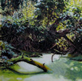 waldwasser